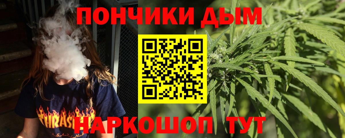 Каннабис планчик Тара
